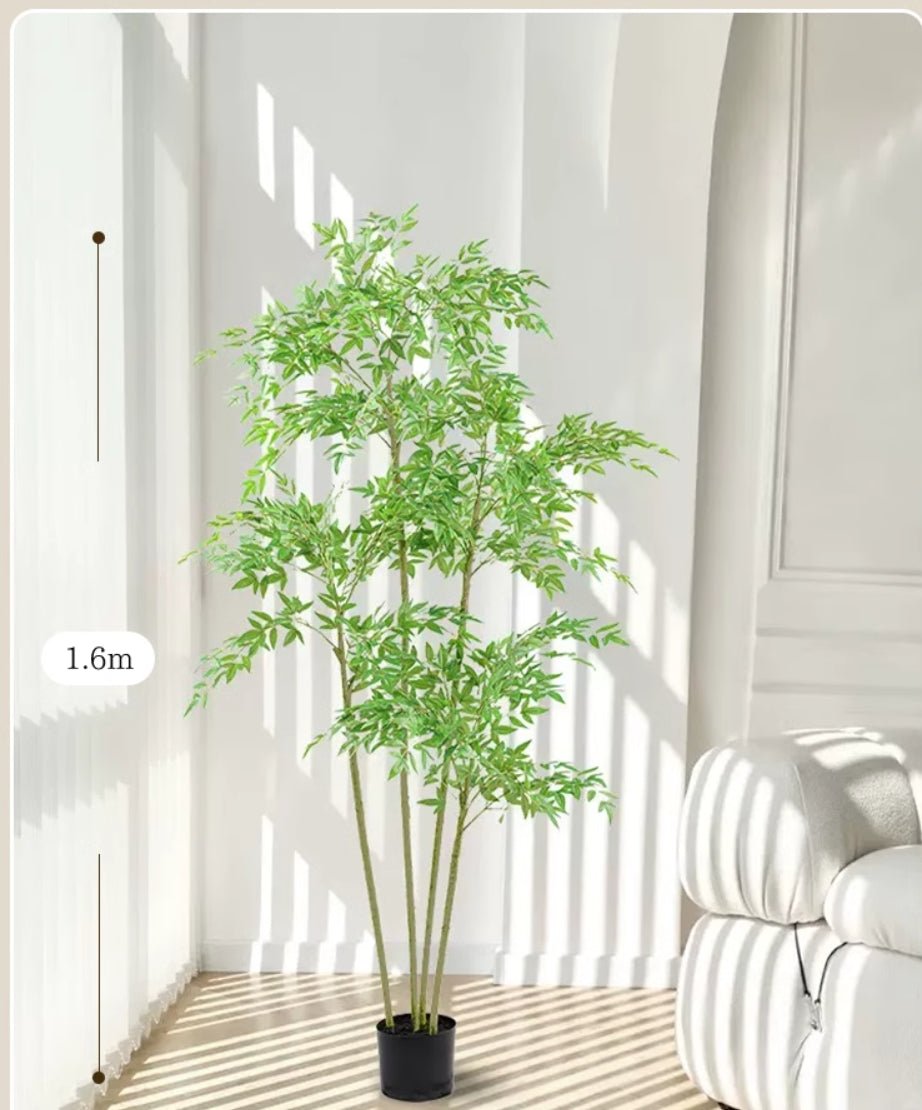 南天竹 (ナンテンチク) 商品コード【2902 - 0406 - 0615】 - caferestaurantgoods