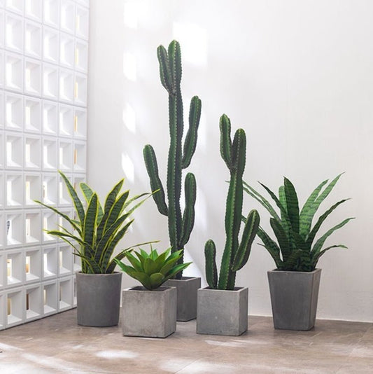 サボテンシリーズワン 商品コード【2902 - 0406 - 28 - 35】 - caferestaurantgoods