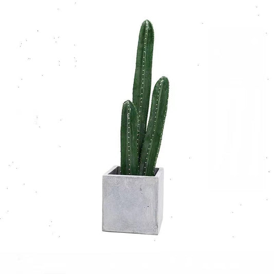 サボテンシリーズワン 商品コード【2902 - 0406 - 28 - 35】 - caferestaurantgoods