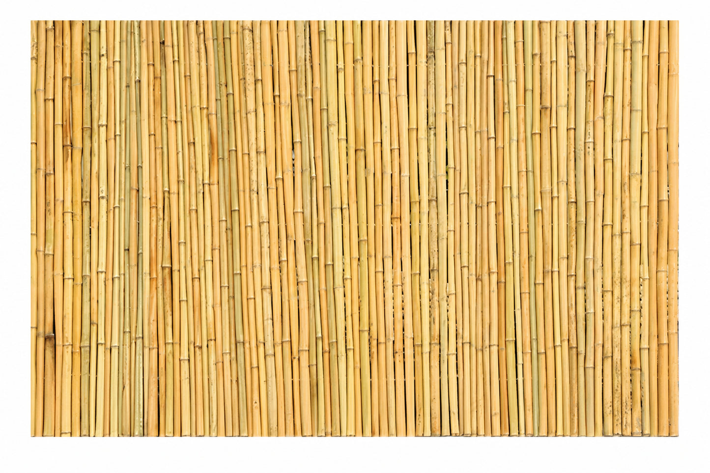 Natural Bamboo Fence for Gardens, Windproof, Insect-proof, Carbonized, Outdoor Bamboo Screen, Stylish, Highly Durable