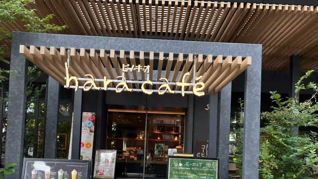 カフェ情報　hara cafe ピノキオ ザ・ファインタワー大手前店：都会の隠れ家カフェ巡り体験記 - caferestaurantgoods