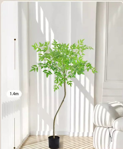 南天竹 （ナンテンチク）　商品コード【2902 - 0406 - 0615】 - caferestaurantgoods
