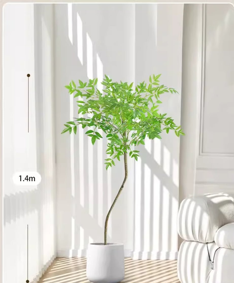 南天竹 （ナンテンチク）　商品コード【2902 - 0406 - 0615】 - CafesJapan