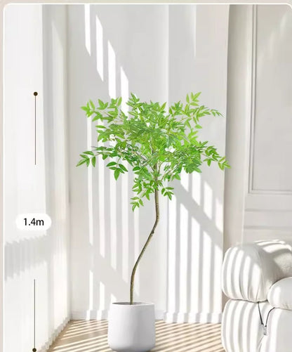 南天竹 （ナンテンチク）　商品コード【2902 - 0406 - 0615】 - CafesJapan