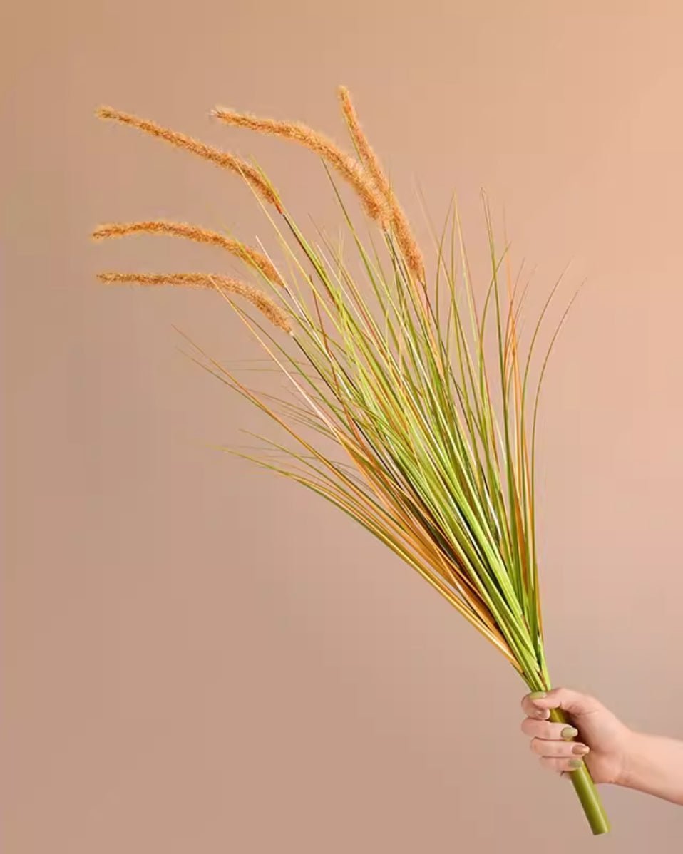 パパスグラス フェイクグリーン 商品コード【2902 - 0406 - 1625】 - CafesJapan