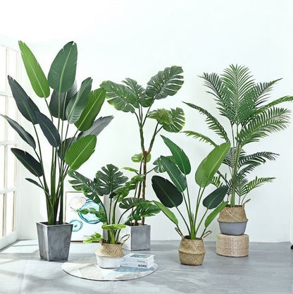 人工観葉植物 - 旅人の木　商品コード【2902 - 0406 - 36 - 40】 - CafesJapan