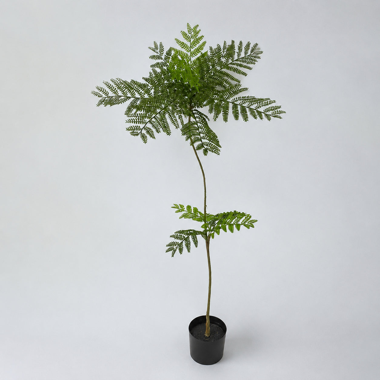 フェイクグリーン 観葉植物 ブルービーンズ シミュレーション 木 180cm 大型 おしゃれ インテリア リビング 玄関 置き型 リアル 高級 装飾