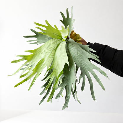 フェイクグリーン 鹿の葉 シミュレーション植物 インテリア 飾り 室内外用 北欧風 おしゃれ 造花 アーティフィシャルフラワー